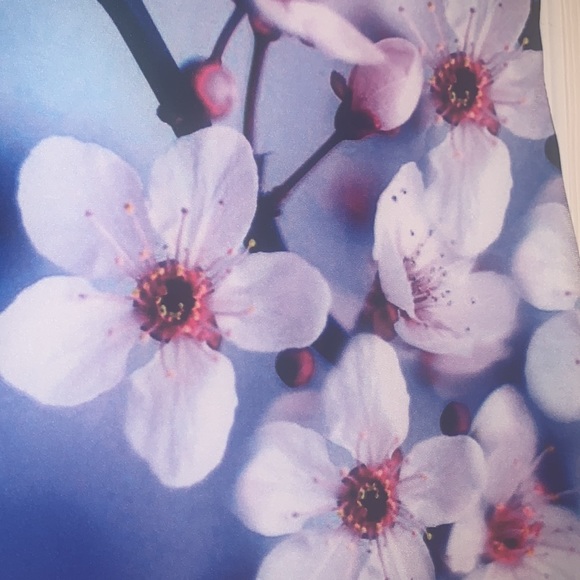 Calvin Klein Blue Bold Floral Sleeveless Dress - Picture 8 of 13